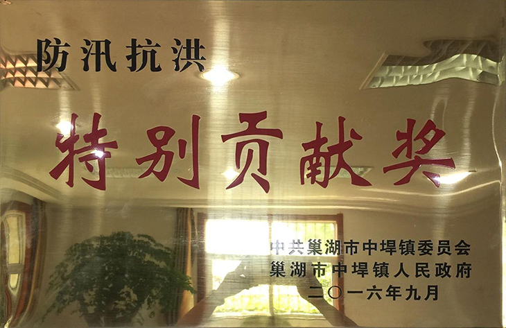 防汛抗洪貢獻獎